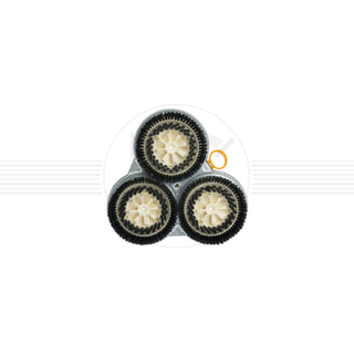 Set Carter Adattabile Setole/Pad Abrasivo PL515 Pecari